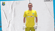 Football Save GIF by ChemnitzerFC