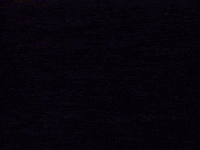 Youtube 90S GIF by Squirrel Monkey