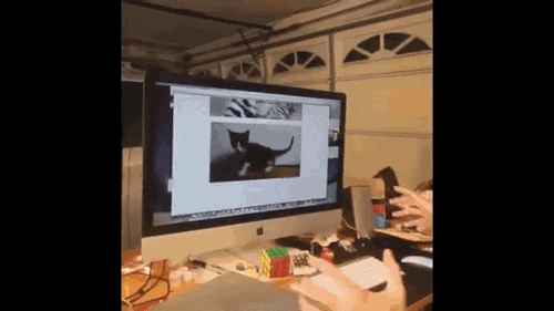 Cat Technology GIF