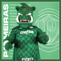 Soccer Futebol GIF by SE Palmeiras
