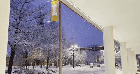 Silent Night Vandals GIF by University of Idaho