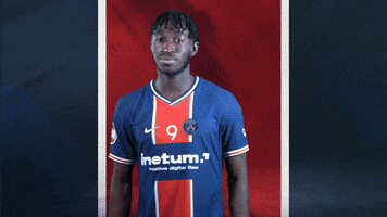 France Ok GIF by Paris Saint-Germain Handball