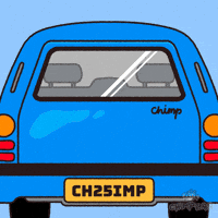 Gap Year Friends GIF by Chimpers