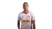 Red Bull Celebration Sticker by RB Leipzig