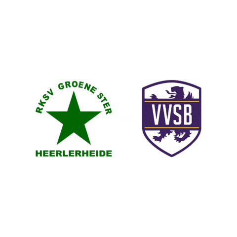 Sport Heerlen Sticker by Groene ster