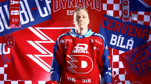 Michal GIF by HC Dynamo Pardubice