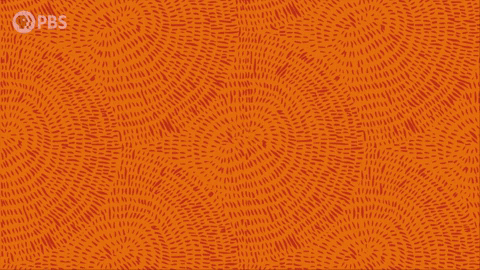 GIF by PBS Digital Studios