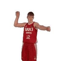 Liga Endesa Sport Sticker by ACB