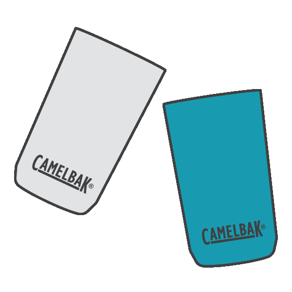 Party Celebrate Sticker by CamelBak