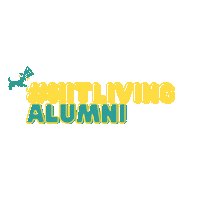 Hitliving Sticker by HIT Living Foundation