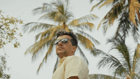 Rotate Palm Tree GIF by DEEPSYSTEM