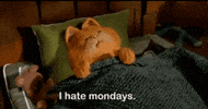 Tired Cat GIF