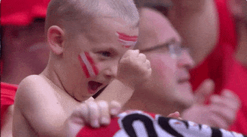Euro 2016 Celebration GIF by Sporza