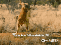 GIF by ThirteenWNET