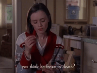 season 4 netflix GIF by Gilmore Girls 