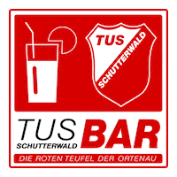 Handball Offenburg GIF by tusschutterwald