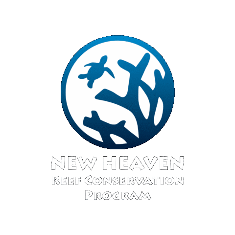Marine Conservation New Heaven Sticker by Conservation Diver