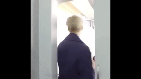 shinee GIF
