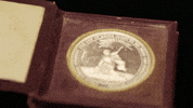 historyuk pawnstars GIF