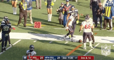 houston texans football GIF by NFL