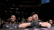 Sport GIF by UFC