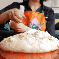 sourdoughdisco disco sourdough GIF