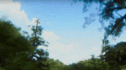 Fun Flying GIF by Magic Eden