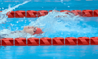 Paralympic Games Swimming GIF by International Paralympic Committee