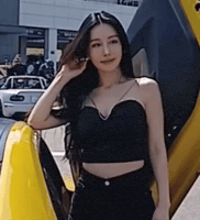 Model GIF