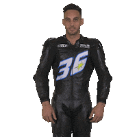Knock Knock Sticker by WorldSBK