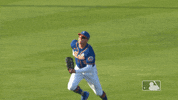Ny Mets Baseball GIF by New York Mets