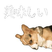 Corgi Milo Sticker