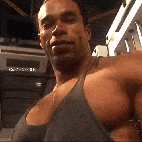 CorZ_Gif01010 king kevin beast levrone GIF