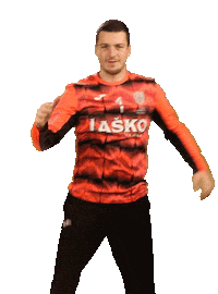 rkcelje handball rokomet lasko celje Sticker