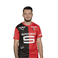 Ligue 1 Football Sticker by Stade Rennais F.C.
