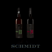 WGSchmidtGmbH  GIF