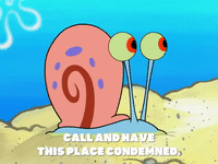 season 8 GIF by SpongeBob SquarePants