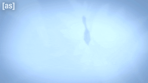 Smoke Ninja GIF by Adult Swim