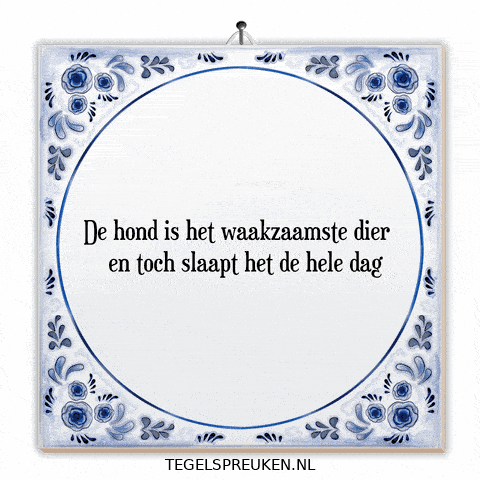 Nl Trots GIF by Tegelspreuken.nl