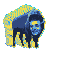 Buffalo Bills Phish Sticker by Outer Limits Hot Sauce