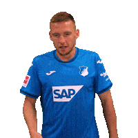 Pavel Kaderabek Sport Sticker by TSG Hoffenheim
