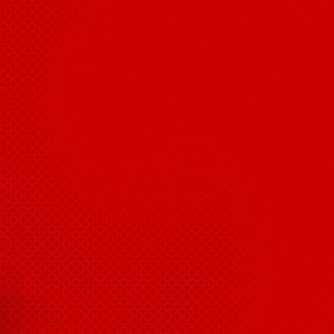 Bayer 04 Bundesliga GIF by Bayer 04 Leverkusen