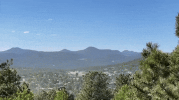 Clouds of Pine Pollen Blow Across Colorado Foothills Amid Allergy Season