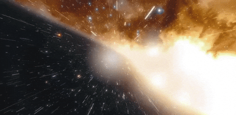 Miss Universe Manika GIF