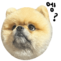 엥 Sticker