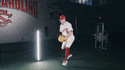 South Carolina Baseball GIF by gamecocksonline