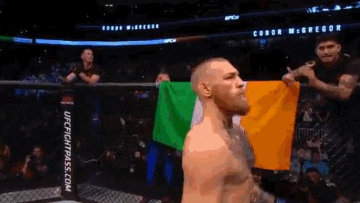 Conor Mcgregor Fight GIF by UFC