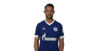 schalke 04 wtf Sticker by Bundesliga