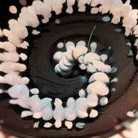 Art Animation GIF