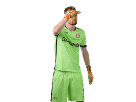 Bayer 04 Werkself Sticker by Bayer 04 Leverkusen